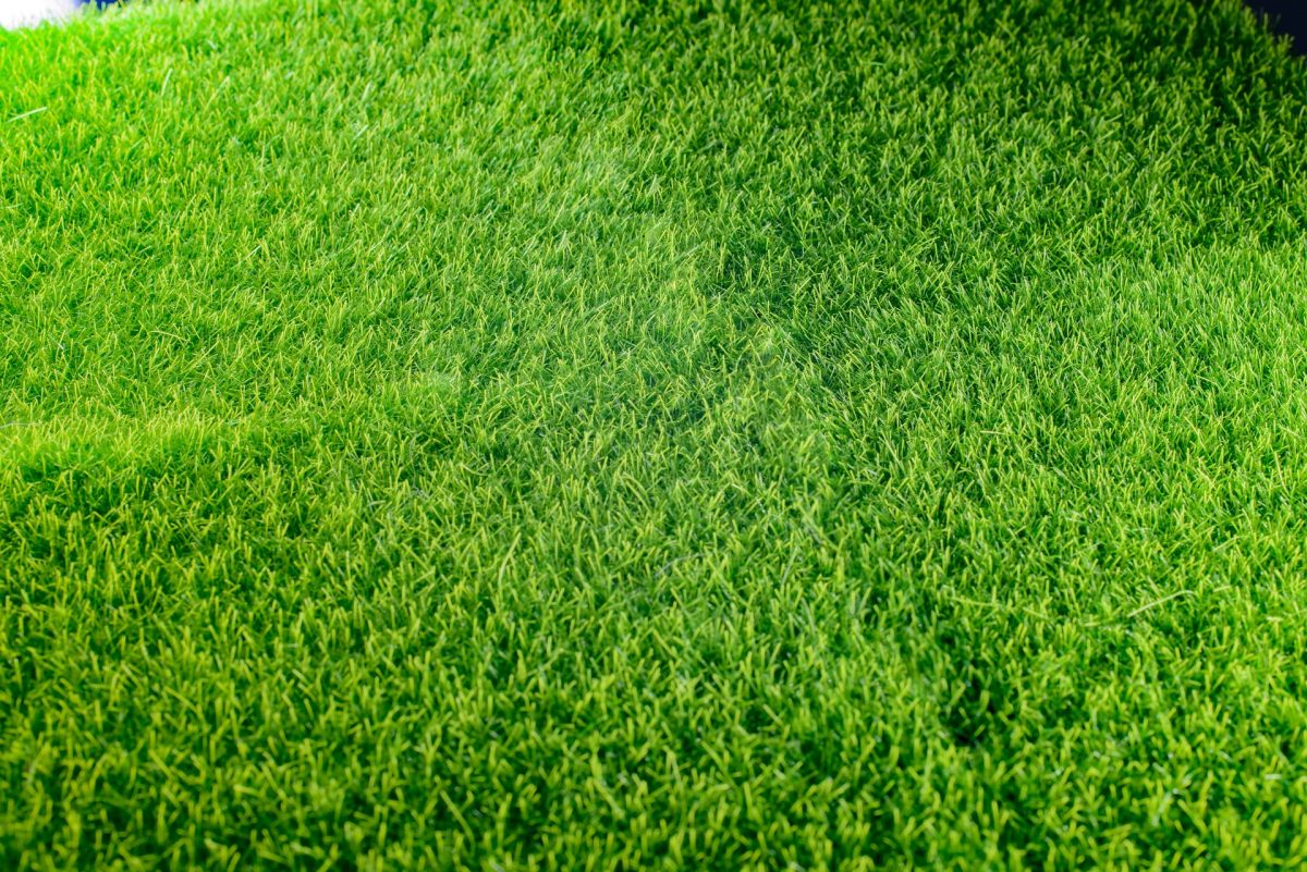 close up photo of fake grass